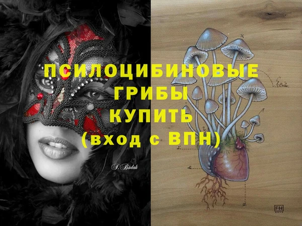 Альфа ПВП Арсеньев